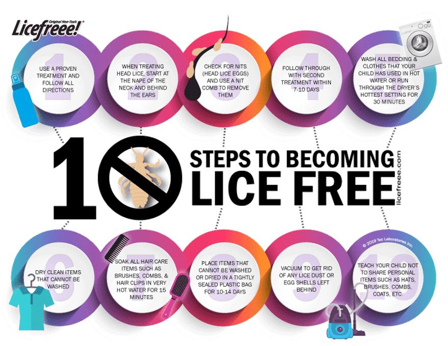 10 Steps to becoming Lice Free Infographic.