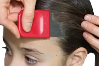 Combing hair with Licefreee Comb.