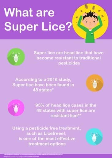 What are super lice?