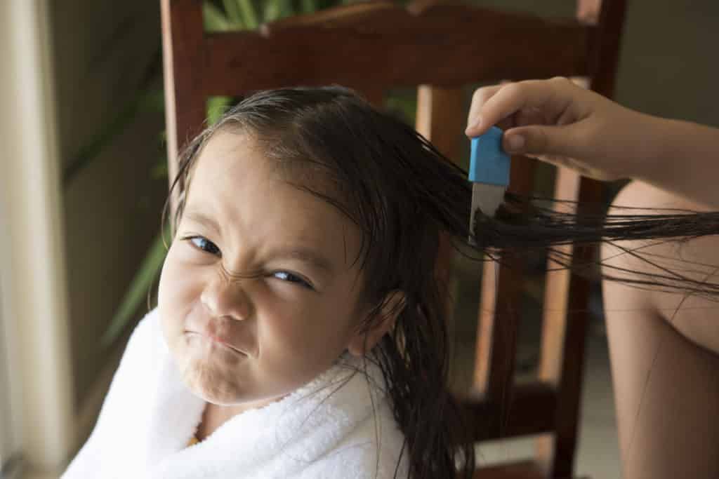 A cute little girl having an easy nit combing.