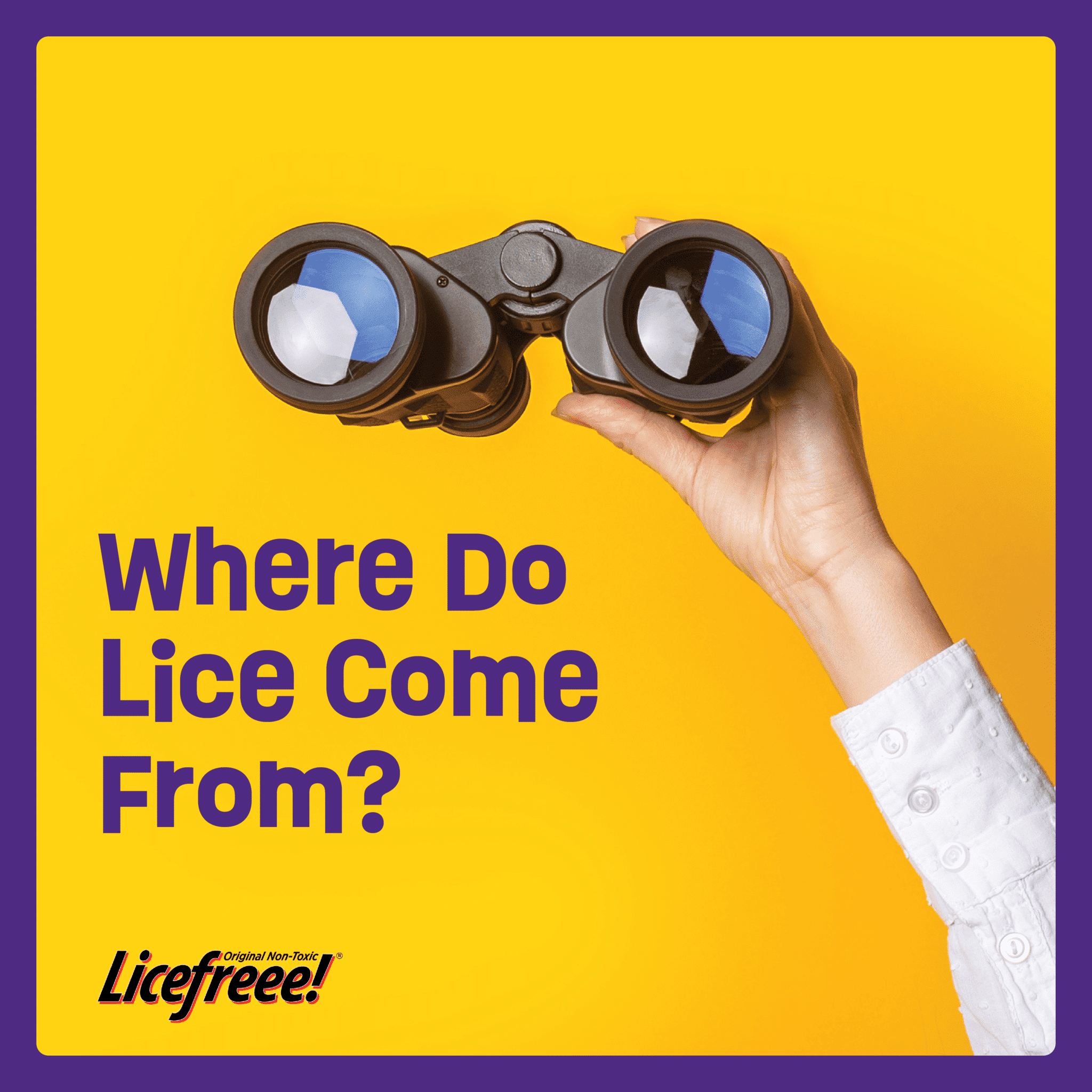 Where Do Lice Come From? | Licefreee