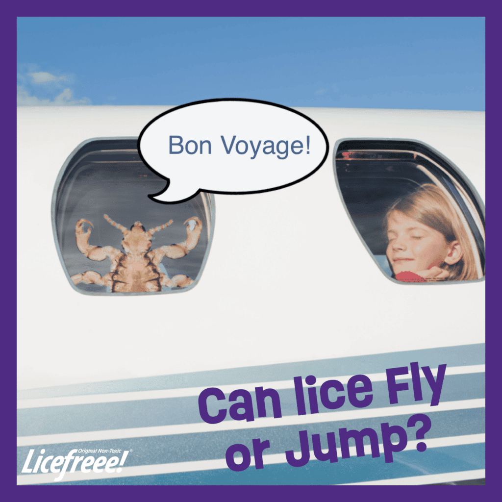 Two airplane windows where one has a girl inside enjoying the ride while the other window has giant lice with a speech balloon that says Bon Voyage.