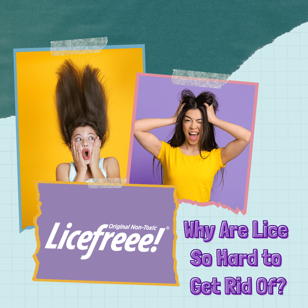 Why Are Lice Hard To Get Rid Of | Licefreee