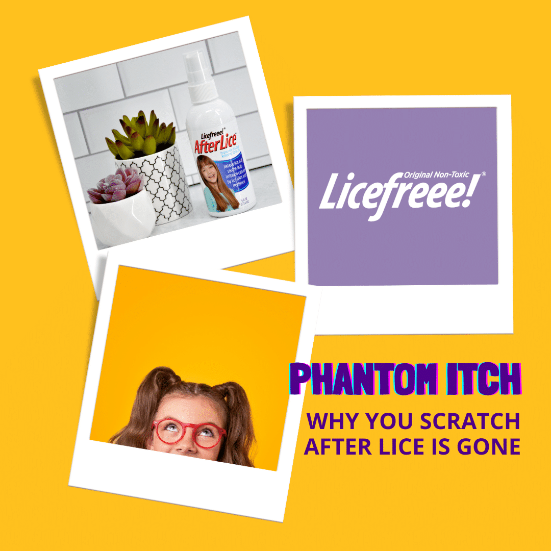 phantom-itch-unraveling-the-mystery-of-post-lice-itching-licefreee